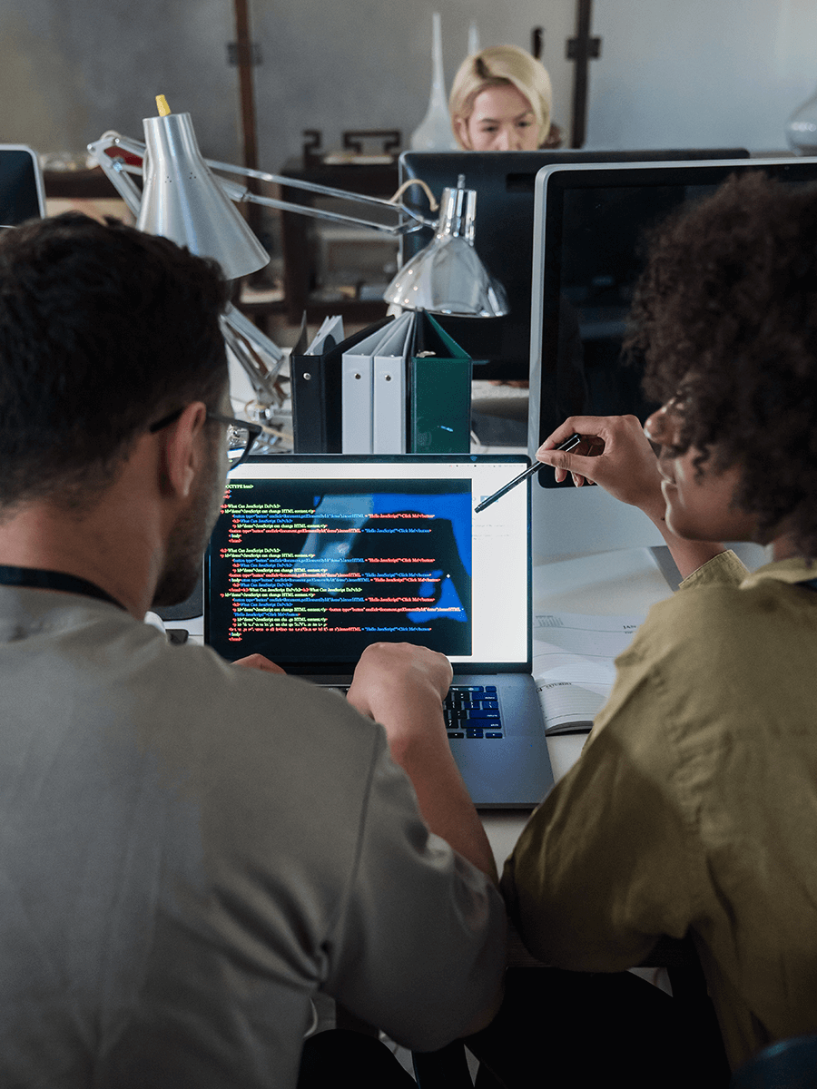 Programmers analysing key elements of web application security