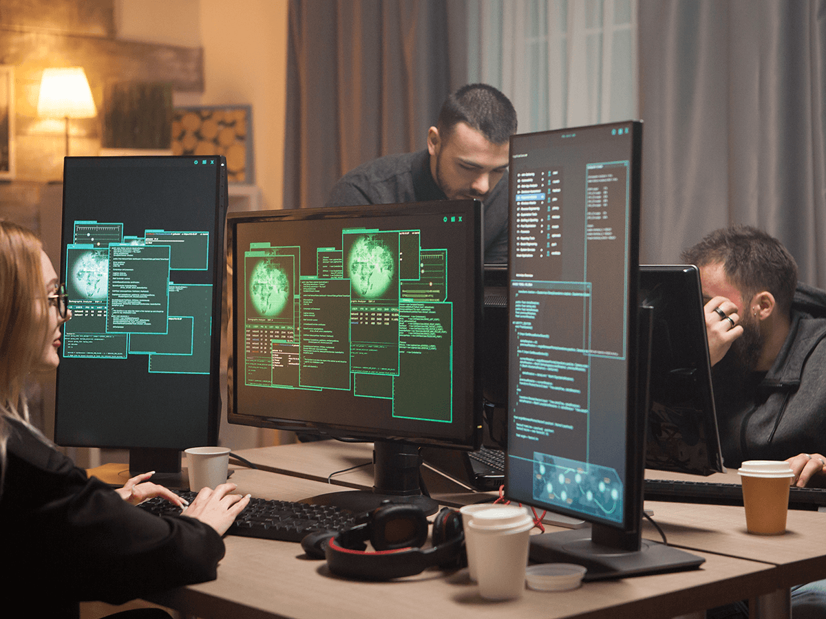 Professionals performing ethical hacking for an organisation. 